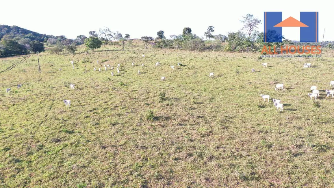 Foto 8 de Fazenda / Haras à venda, 5033600m2 em Uruacu - GO