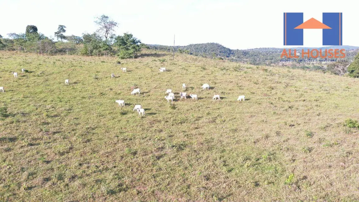 Foto 7 de Fazenda / Haras à venda, 5033600m2 em Uruacu - GO