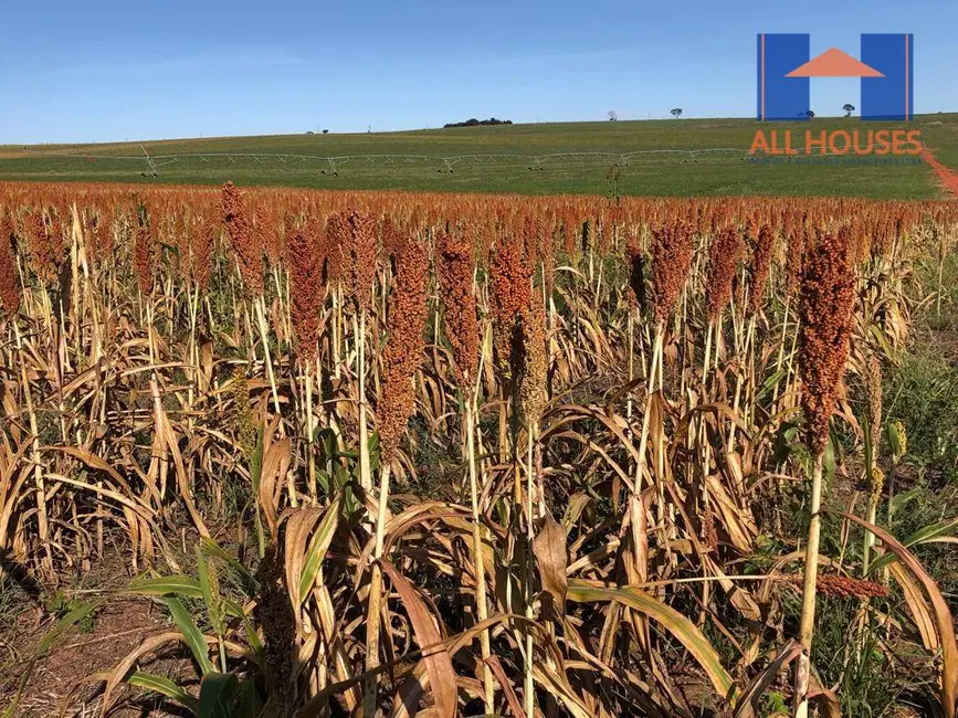 Fazenda / Haras à venda, 16777215m2 em Chapadao Do Ceu - GO - imagem 9 Foto 9 de Fazenda / Haras à venda, 16777215m2 em Chapadao Do Ceu - GO