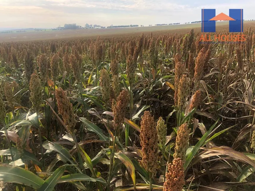 Fazenda / Haras à venda, 16777215m2 em Chapadao Do Ceu - GO - imagem 8 Foto 8 de Fazenda / Haras à venda, 16777215m2 em Chapadao Do Ceu - GO