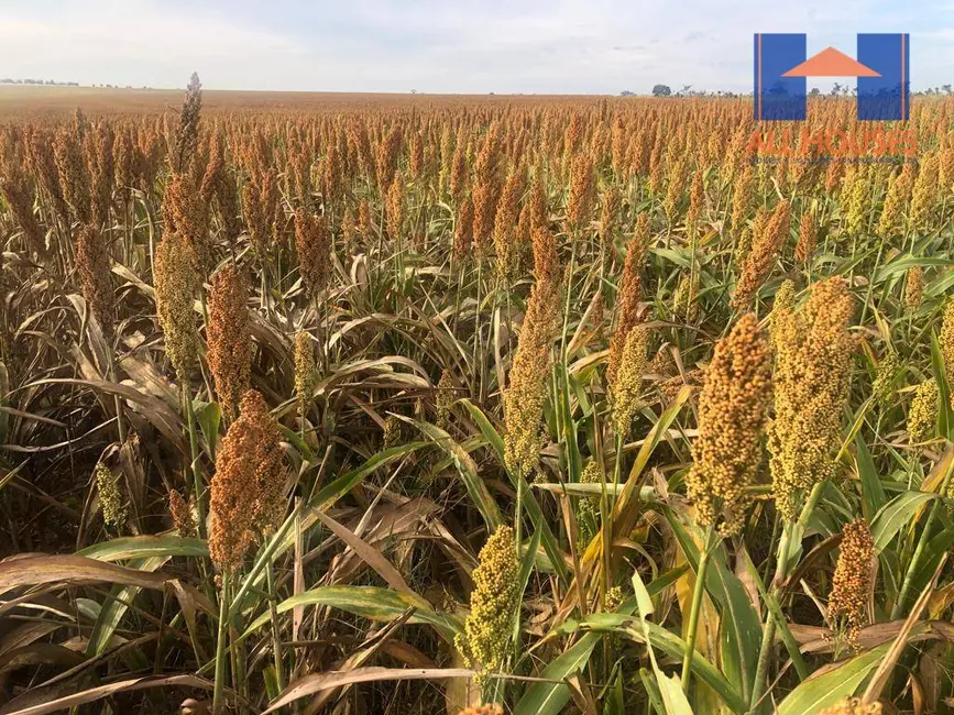 Fazenda / Haras à venda, 16777215m2 em Chapadao Do Ceu - GO - imagem 7 Foto 7 de Fazenda / Haras à venda, 16777215m2 em Chapadao Do Ceu - GO