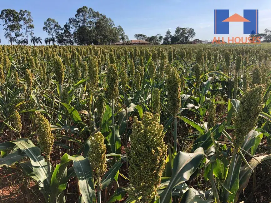 Fazenda / Haras à venda, 16777215m2 em Chapadao Do Ceu - GO - imagem 3 Foto 3 de Fazenda / Haras à venda, 16777215m2 em Chapadao Do Ceu - GO