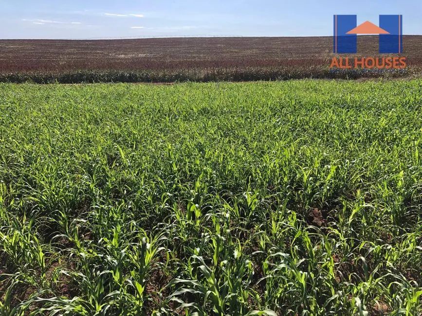 Fazenda / Haras à venda, 16777215m2 em Chapadao Do Ceu - GO - imagem 5 Foto 5 de Fazenda / Haras à venda, 16777215m2 em Chapadao Do Ceu - GO