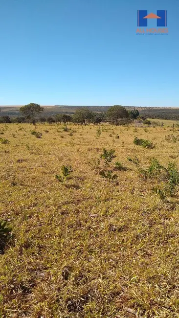 Foto 7 de Fazenda / Haras à venda, 16777215m2 em Niquelandia - GO