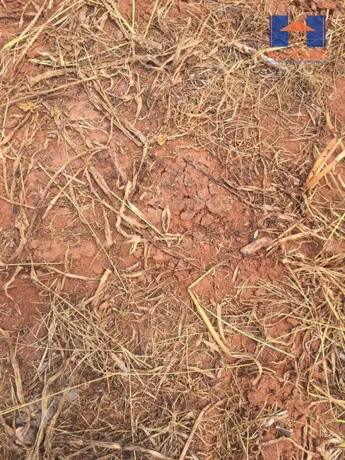 Foto 9 de Fazenda / Haras à venda, 16777215m2 em Niquelandia - GO