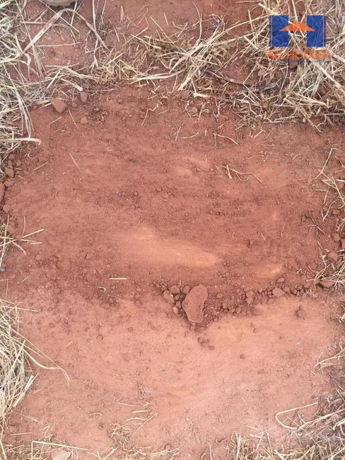 Foto 8 de Fazenda / Haras à venda, 16777215m2 em Niquelandia - GO