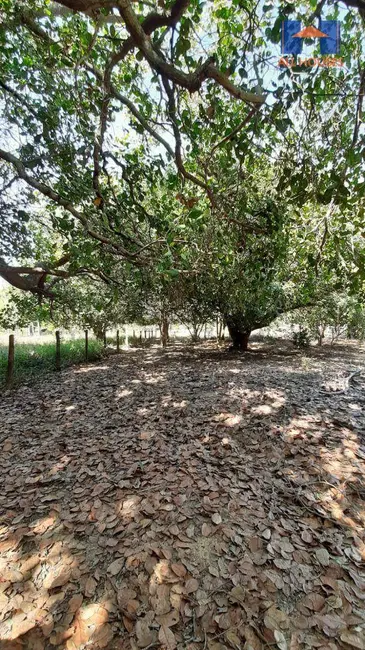 Foto 3 de Fazenda / Haras à venda, 9147600m2 em Goianesia - GO