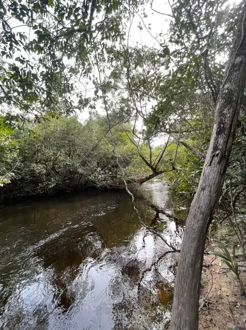 Foto 3 de Chácara à venda em Sao Felix Do Tocantins - TO