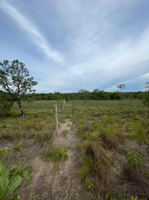Foto 2 de Chácara à venda em Sao Felix Do Tocantins - TO