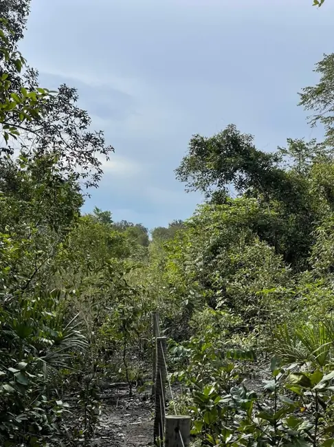 Foto 7 de Chácara à venda em Sao Felix Do Tocantins - TO