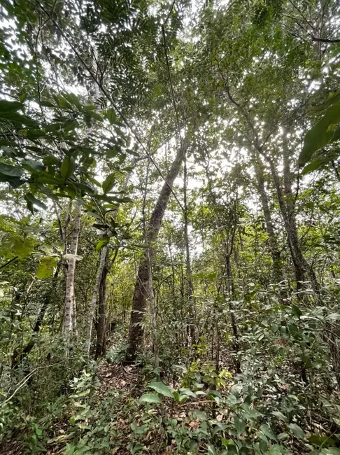 Foto 5 de Chácara à venda em Sao Felix Do Tocantins - TO