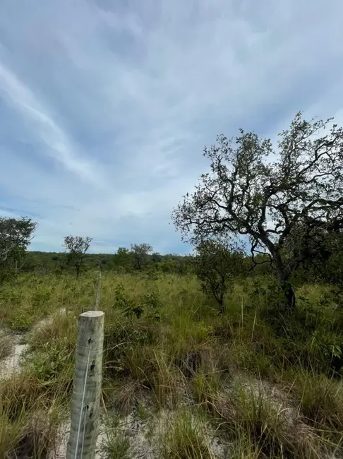 Foto 4 de Chácara à venda em Sao Felix Do Tocantins - TO