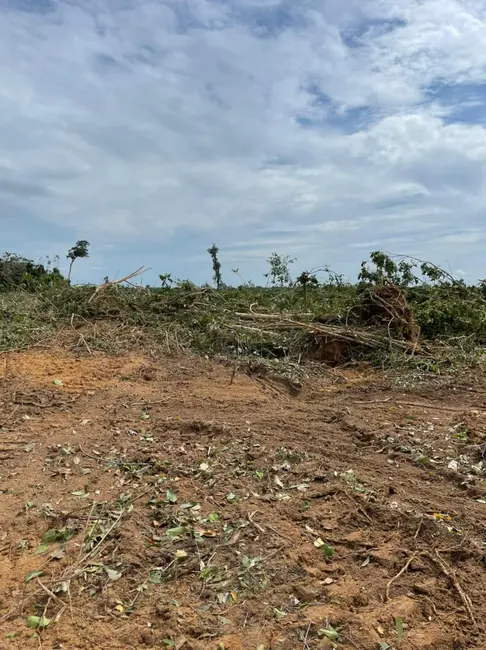 Foto 2 de Fazenda / Haras à venda em Novo Progresso - PA