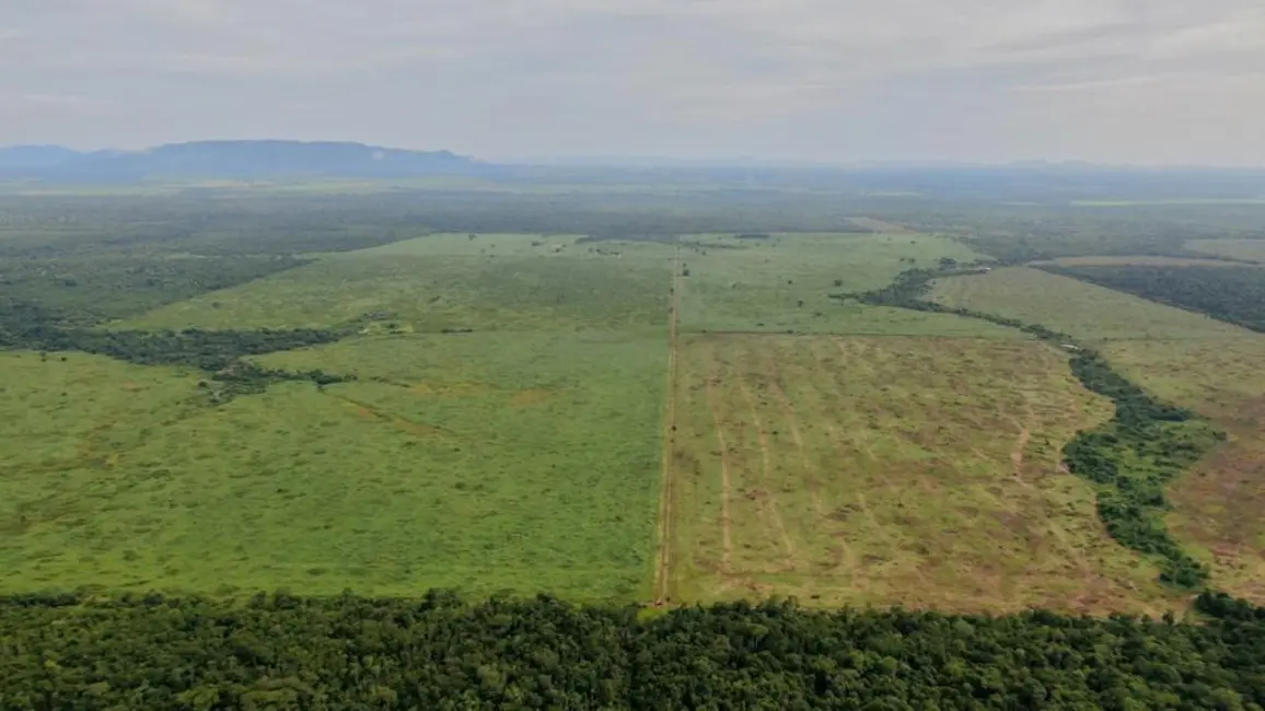 Foto 4 de Fazenda / Haras à venda em Novo Progresso - PA