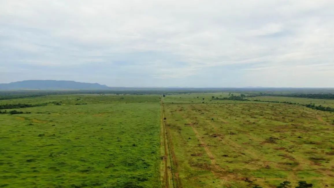Foto 5 de Fazenda / Haras à venda em Novo Progresso - PA