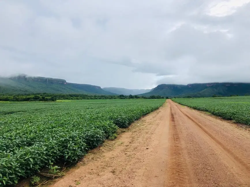 Foto 7 de Fazenda / Haras à venda, 1900m2 em Santa Rosa Do Tocantins - TO