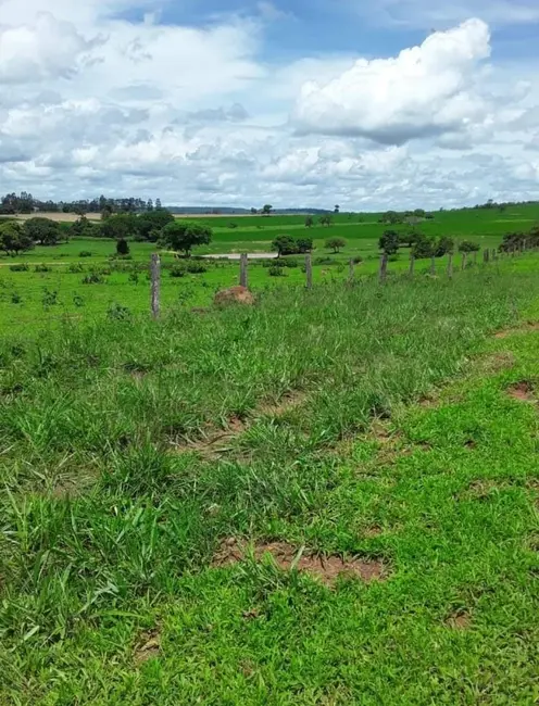 Foto 1 de Fazenda / Haras com 7 quartos à venda em Campinapolis - MT