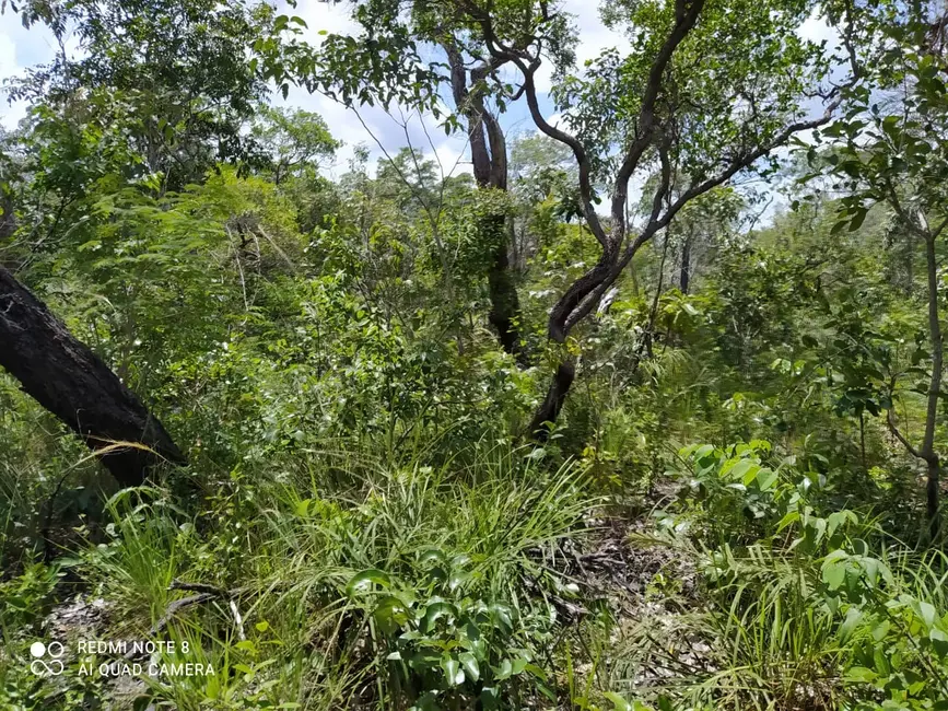Foto 3 de Fazenda / Haras à venda em Mirador - MA