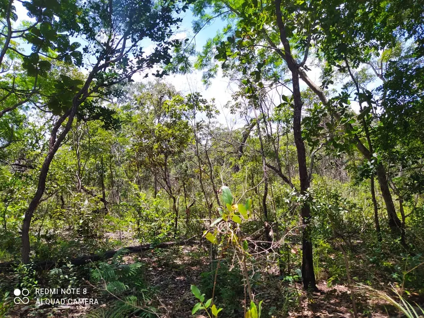 Foto 9 de Fazenda / Haras à venda em Mirador - MA