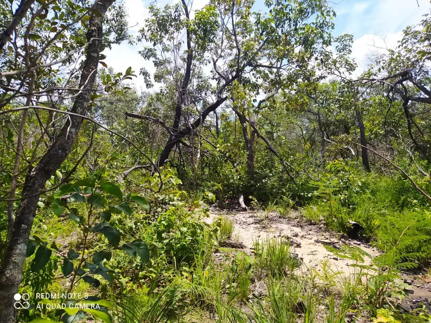 Foto 1 de Fazenda / Haras à venda em Mirador - MA