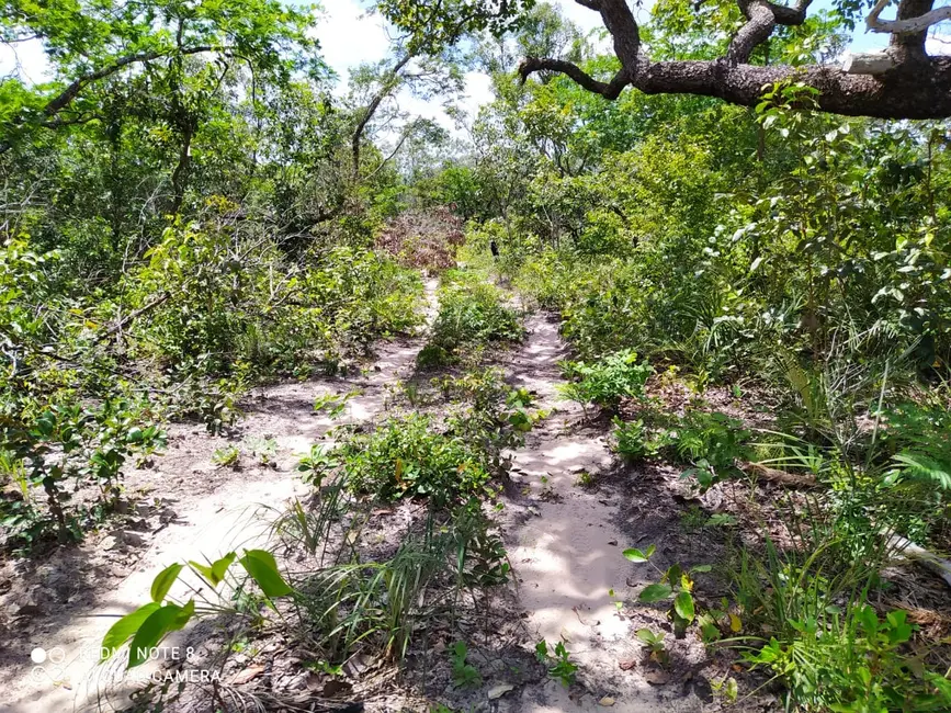 Foto 7 de Fazenda / Haras à venda em Mirador - MA