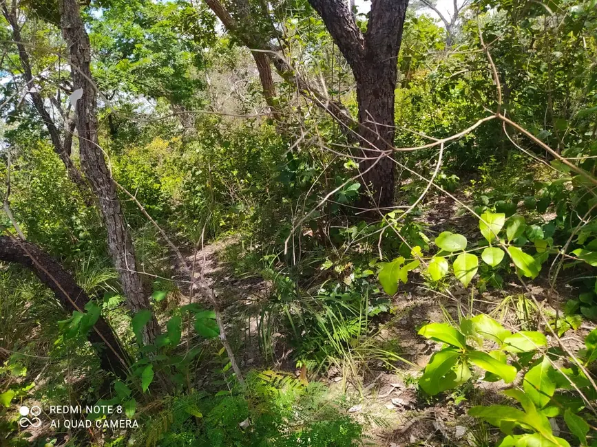 Foto 8 de Fazenda / Haras à venda em Mirador - MA