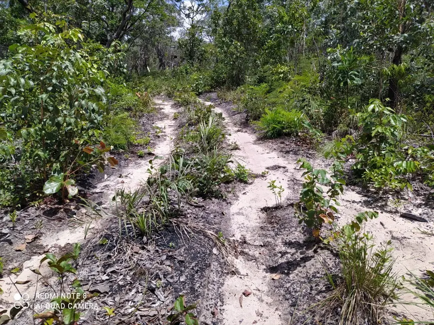 Foto 6 de Fazenda / Haras à venda em Mirador - MA