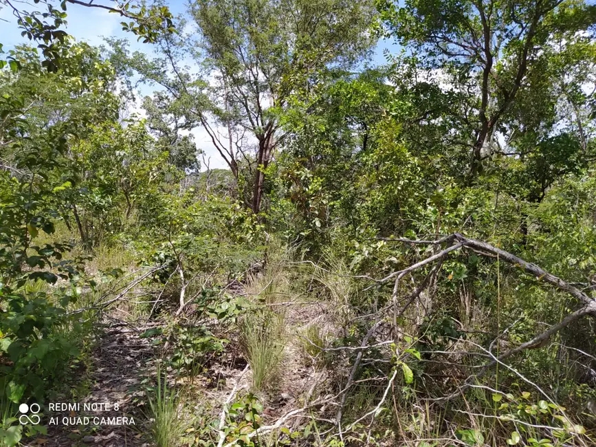 Foto 2 de Fazenda / Haras à venda em Mirador - MA