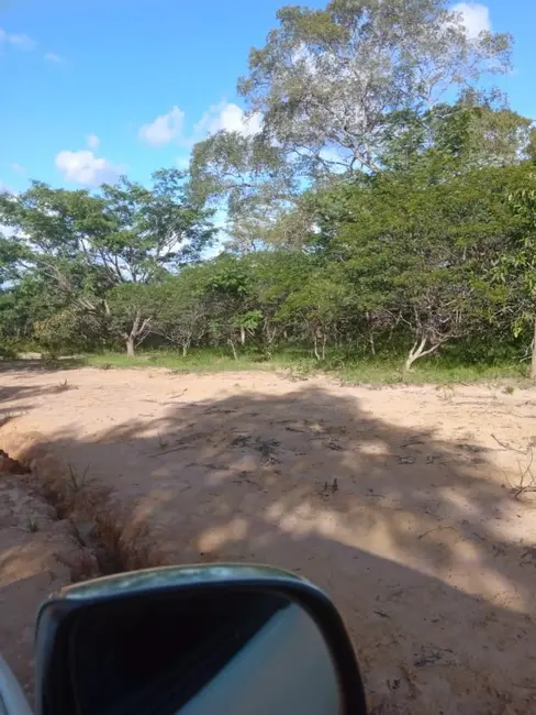 Foto 3 de Fazenda / Haras à venda em Colinas - MA