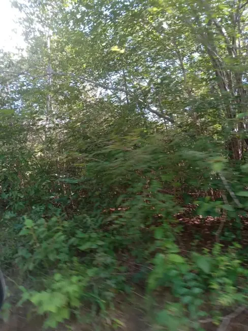 Foto 6 de Fazenda / Haras à venda em Colinas - MA