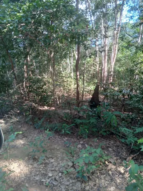 Foto 7 de Fazenda / Haras à venda em Colinas - MA