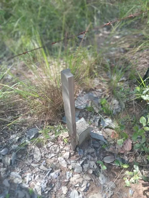 Foto 5 de Fazenda / Haras à venda em Colinas - MA