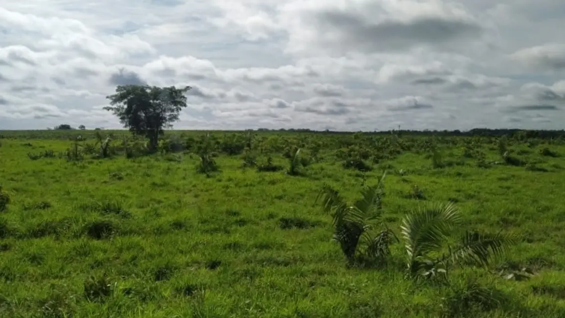 Foto 1 de Fazenda / Haras à venda em Natividade - TO
