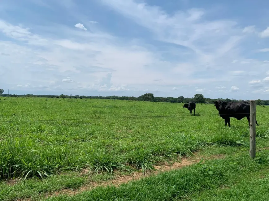 Foto 7 de Fazenda / Haras à venda em Divinopolis Do Tocantins - TO