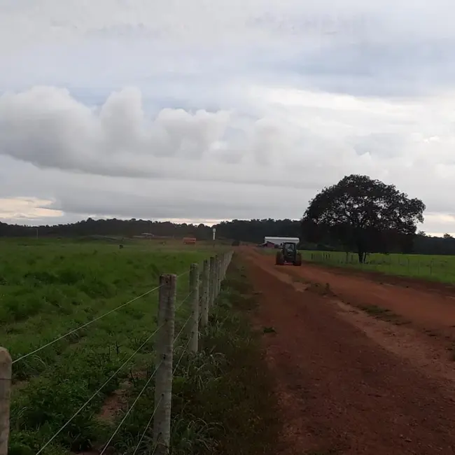 Foto 4 de Fazenda / Haras à venda em Divinopolis Do Tocantins - TO