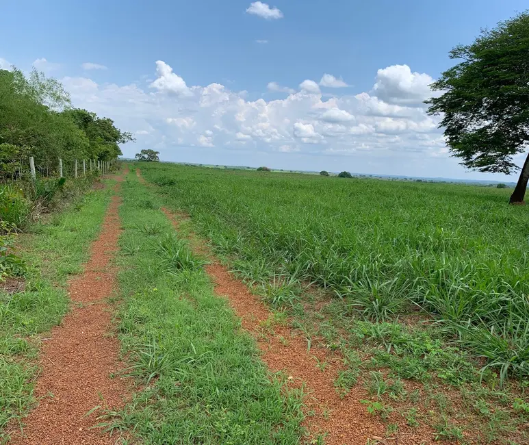 Foto 5 de Fazenda / Haras à venda em Divinopolis Do Tocantins - TO