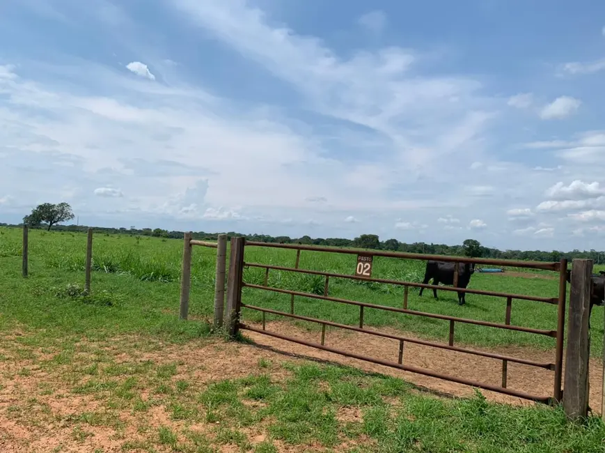 Foto 8 de Fazenda / Haras à venda em Divinopolis Do Tocantins - TO