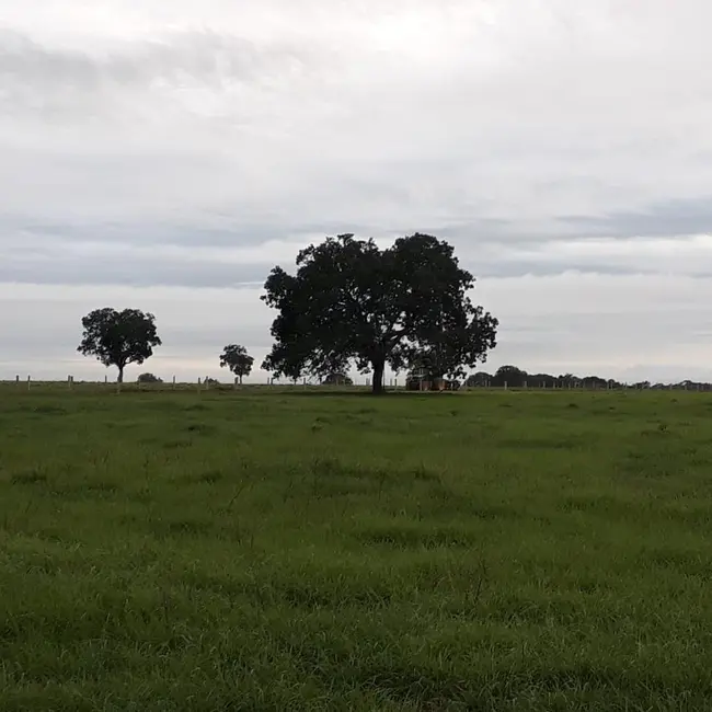 Foto 6 de Fazenda / Haras à venda em Divinopolis Do Tocantins - TO