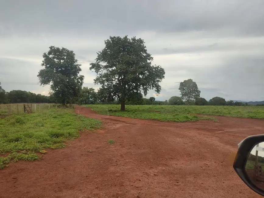 Fazenda / Haras à venda em Palmeiropolis - TO - imagem 5 Foto 5 de Fazenda / Haras à venda em Palmeiropolis - TO