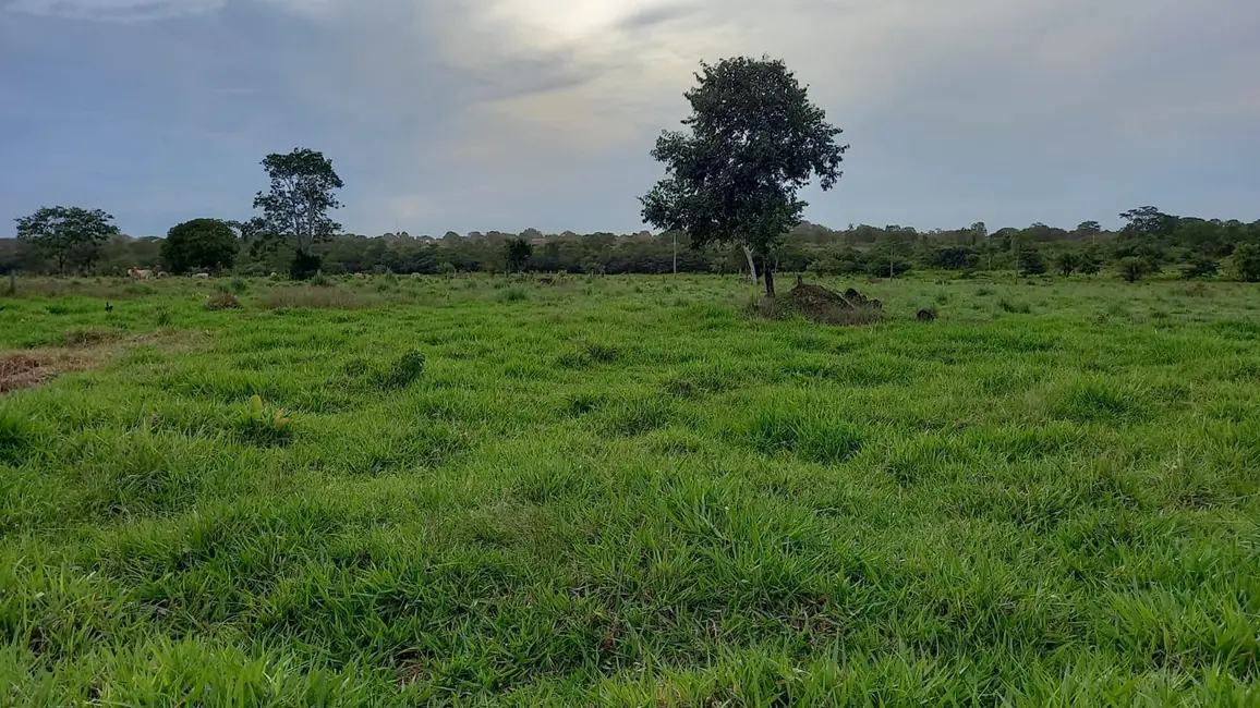 Foto 1 de Fazenda / Haras à venda em Redencao - PA