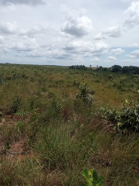 Foto 4 de Fazenda / Haras à venda em Colinas Do Tocantins - TO