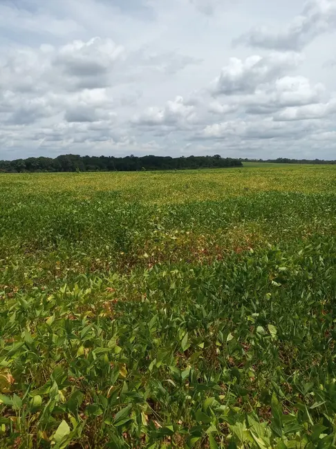 Foto 3 de Fazenda / Haras à venda em Colinas Do Tocantins - TO