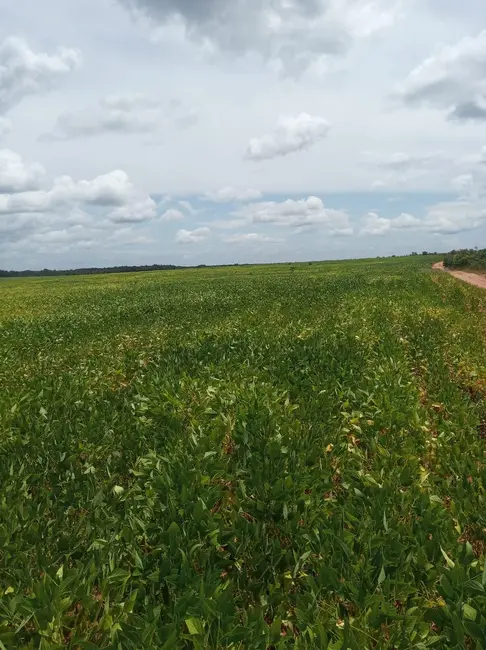 Foto 7 de Fazenda / Haras à venda em Colinas Do Tocantins - TO