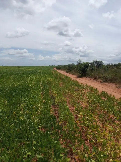 Foto 8 de Fazenda / Haras à venda em Colinas Do Tocantins - TO