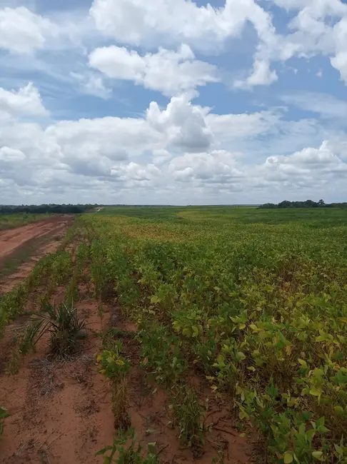 Foto 1 de Fazenda / Haras à venda em Colinas Do Tocantins - TO