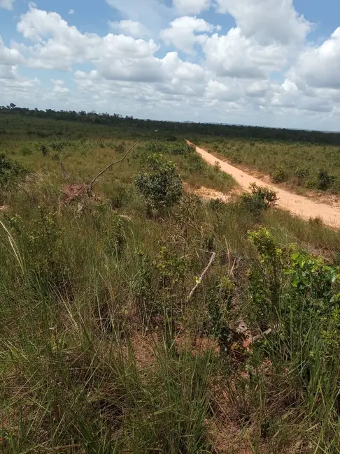 Foto 6 de Fazenda / Haras à venda em Colinas Do Tocantins - TO