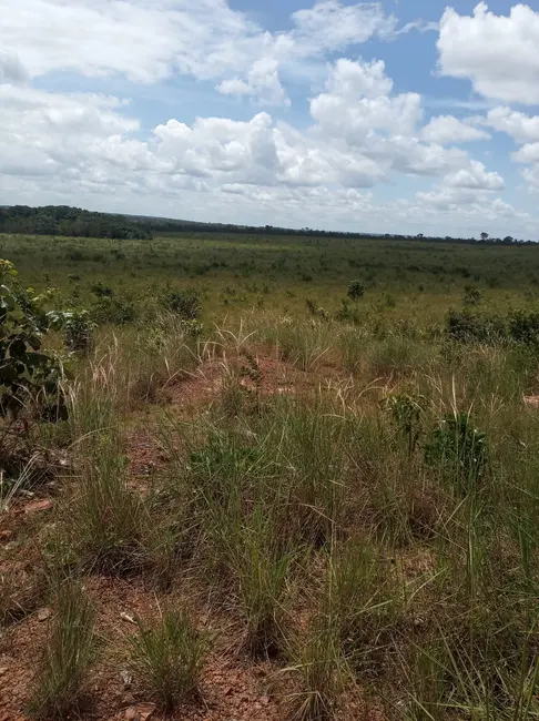 Foto 5 de Fazenda / Haras à venda em Colinas Do Tocantins - TO