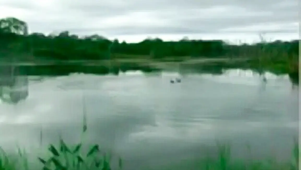 Foto 7 de Fazenda / Haras à venda em Pedro Afonso - TO