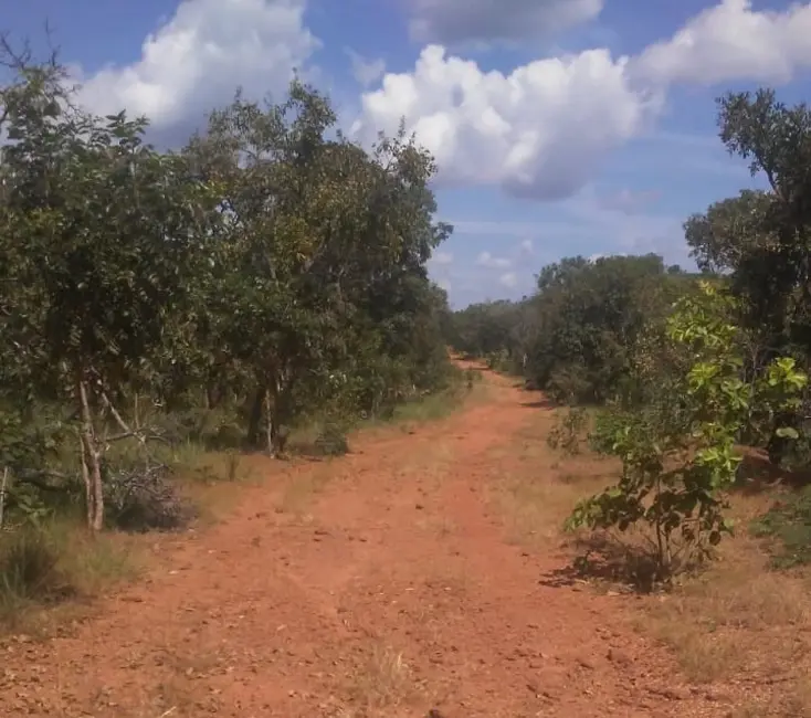 Foto 6 de Fazenda / Haras à venda em Pedro Afonso - TO