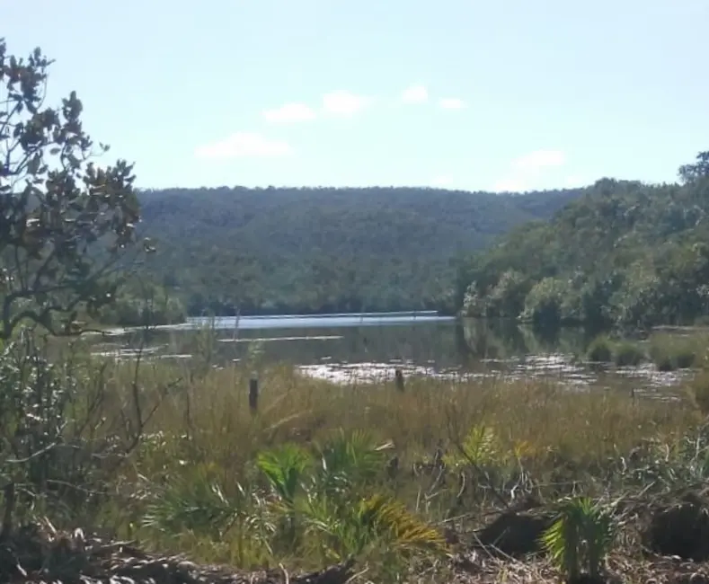 Foto 7 de Fazenda / Haras à venda em Pedro Afonso - TO